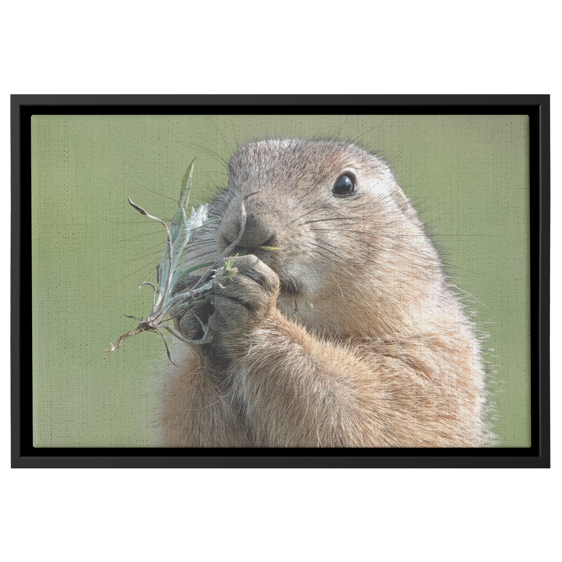Birgit_Pruess_Canvas_with_Black_Frame_Framed_Canvas_H_Rectangle_Main_Mockup.png