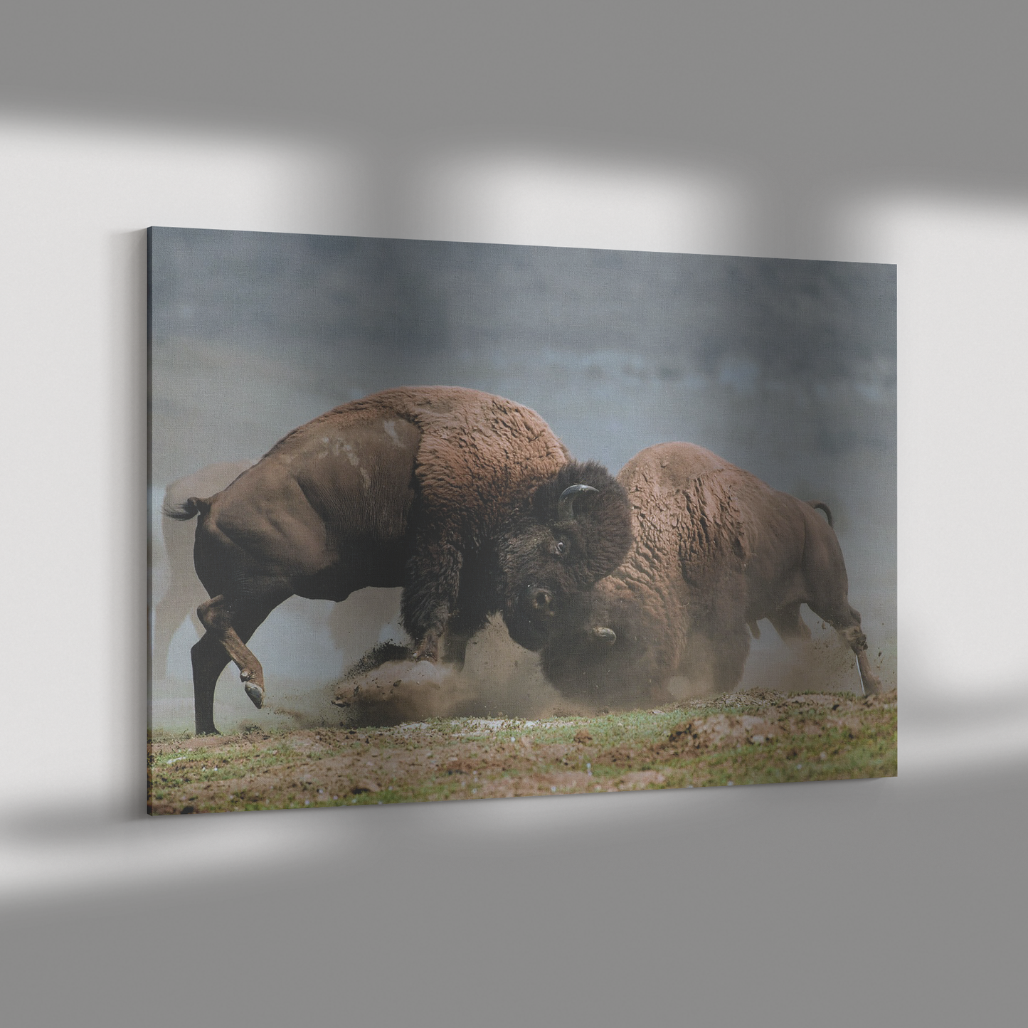 Bison_Fight_Canvas_by_Duane_Hons_-_Onlin_H_Rectangle_Dramatic_Shadow_Mockup.png