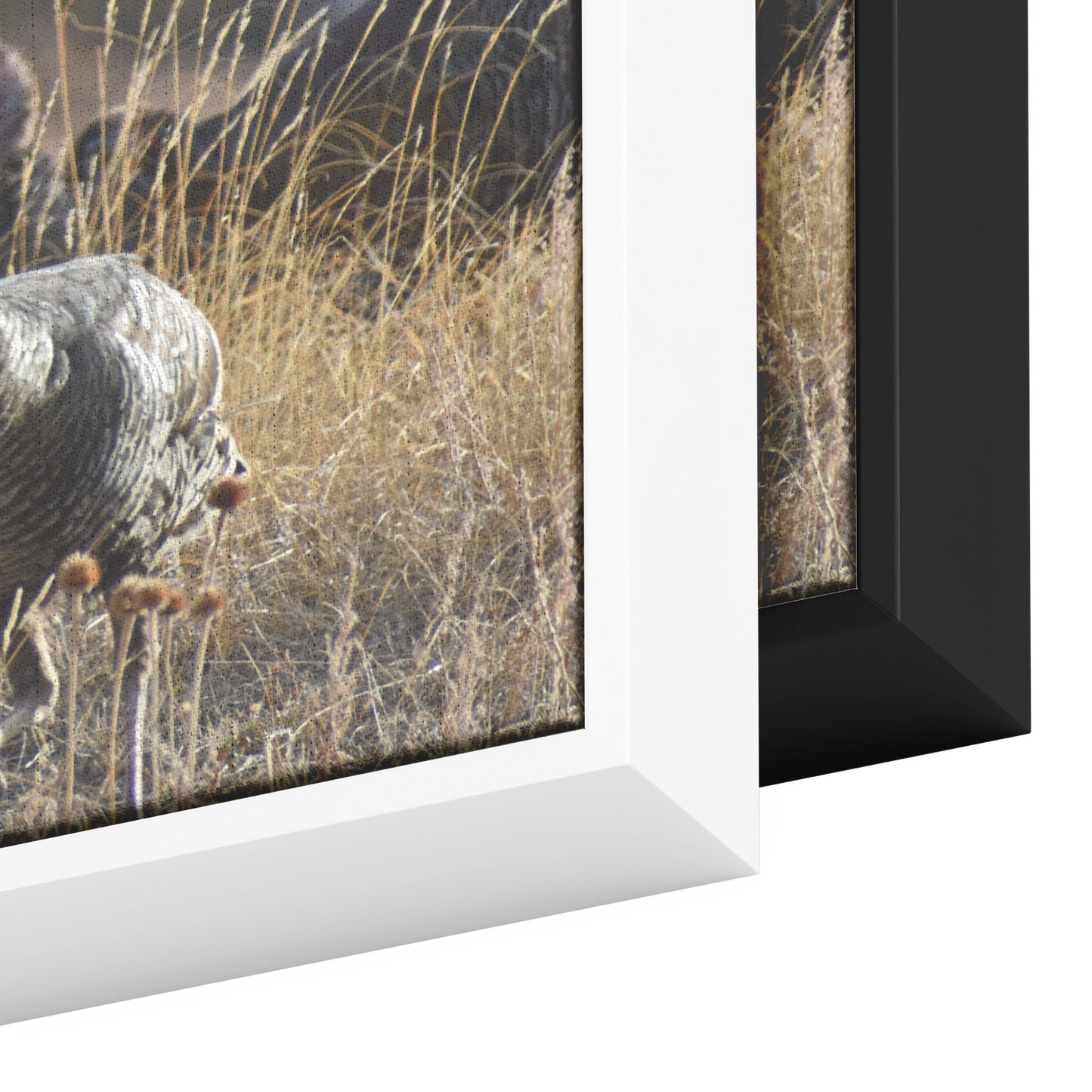 Clover_Schultz-Tiedeken_Canvas_Print_wit_Framed_Canvas_H_Rectangle_Color_Options_Mockup.png
