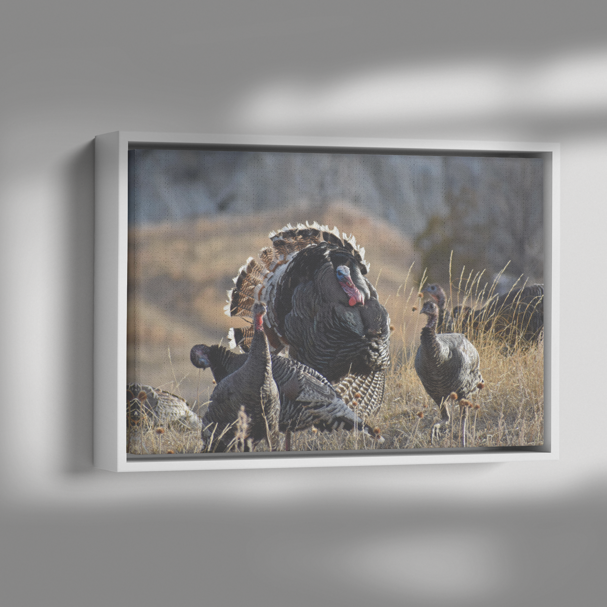 Clover_Schultz-Tiedeken_Canvas_Print_wit_Framed_Canvas_H_Rectangle_Dramatic_Shad_Mockup.png