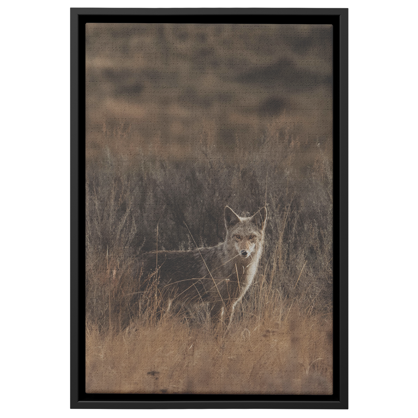 Maggie_Taylor_Canvas_Print_with_Black_Fr_Framed_Canvas_V_Rectangle_Main_Mockup.png