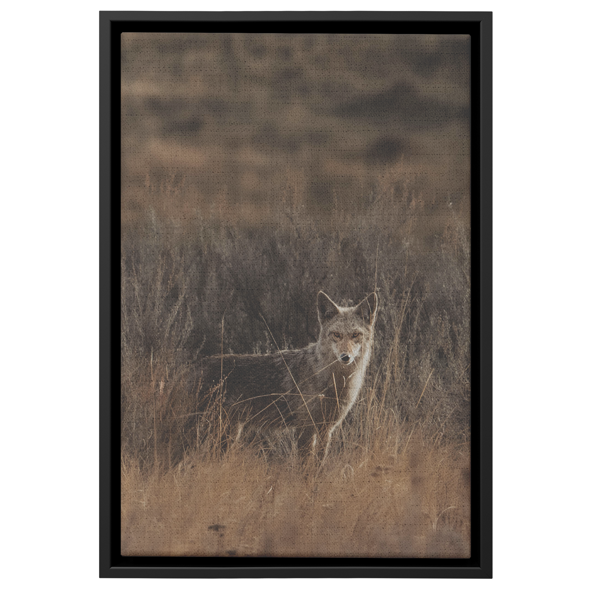 Maggie_Taylor_Canvas_Print_with_Black_Fr_Framed_Canvas_V_Rectangle_Main_Mockup.png