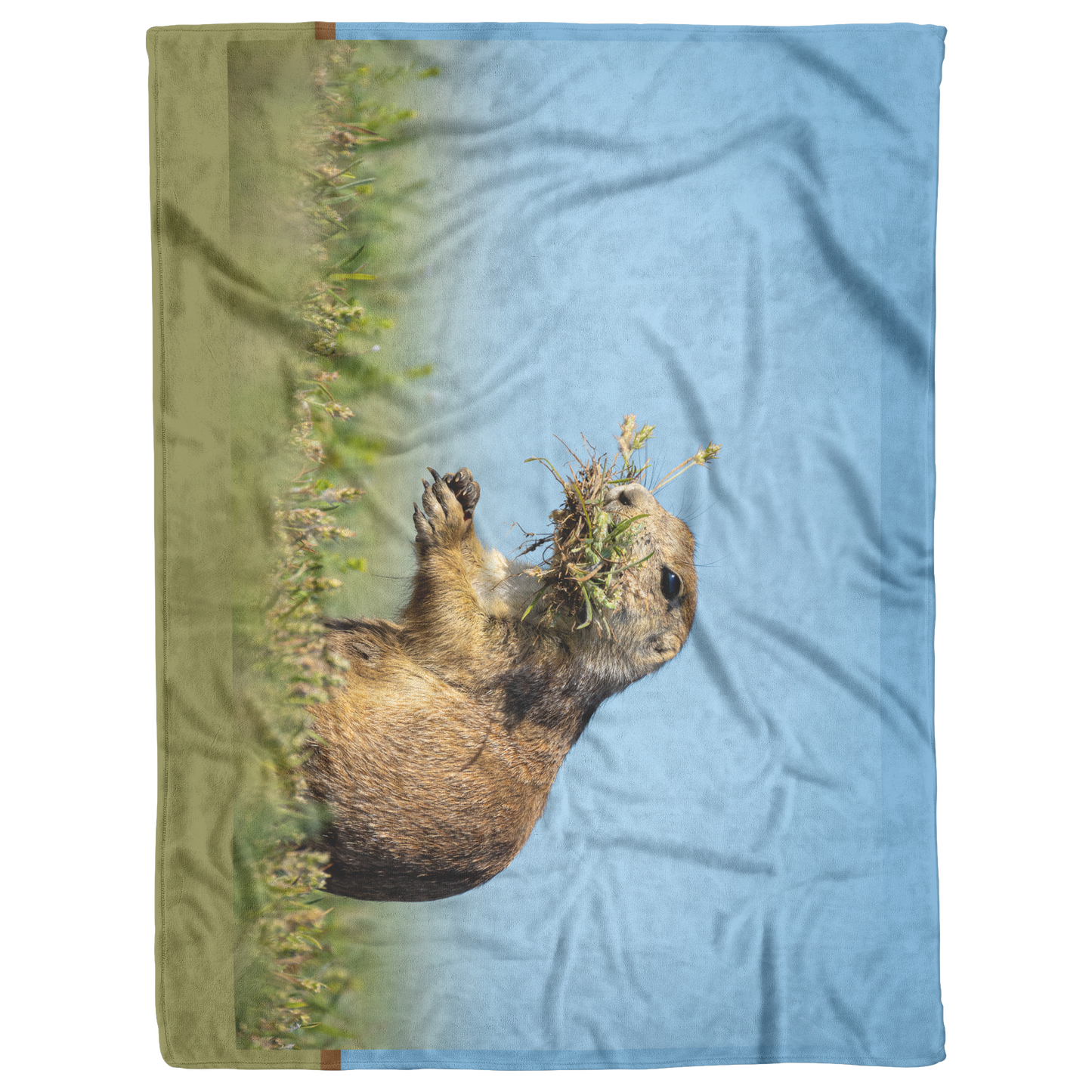 Pdog_Blanket_V_Blanket_AS_Flat_Mockup.png