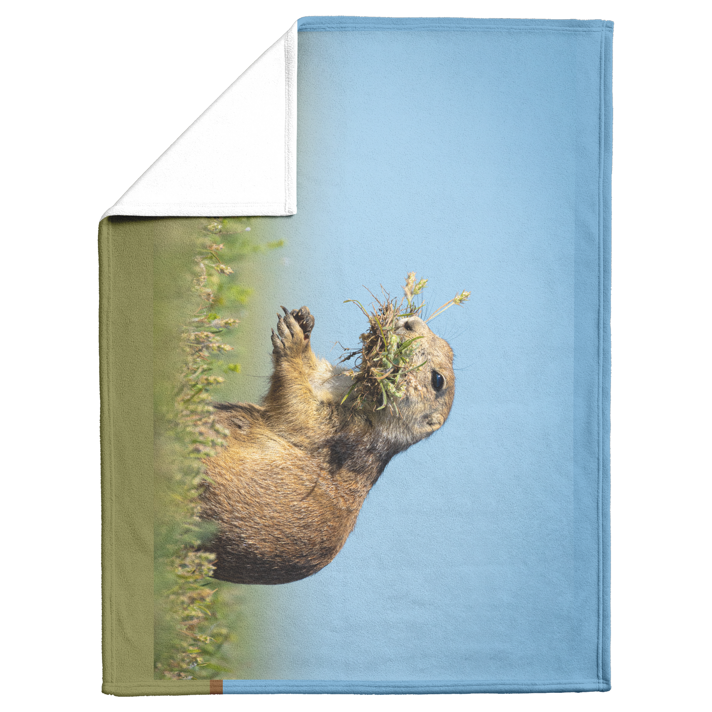 Pdog_Blanket_V_Blanket_Fold_Mockup.png