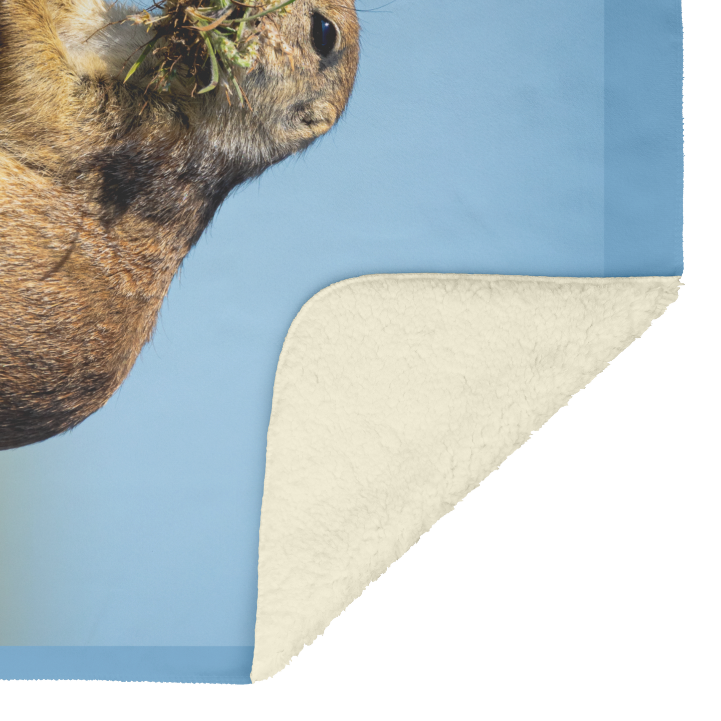 Pdog_Blanket_V_Blanket_Sherpa_Mockup.png