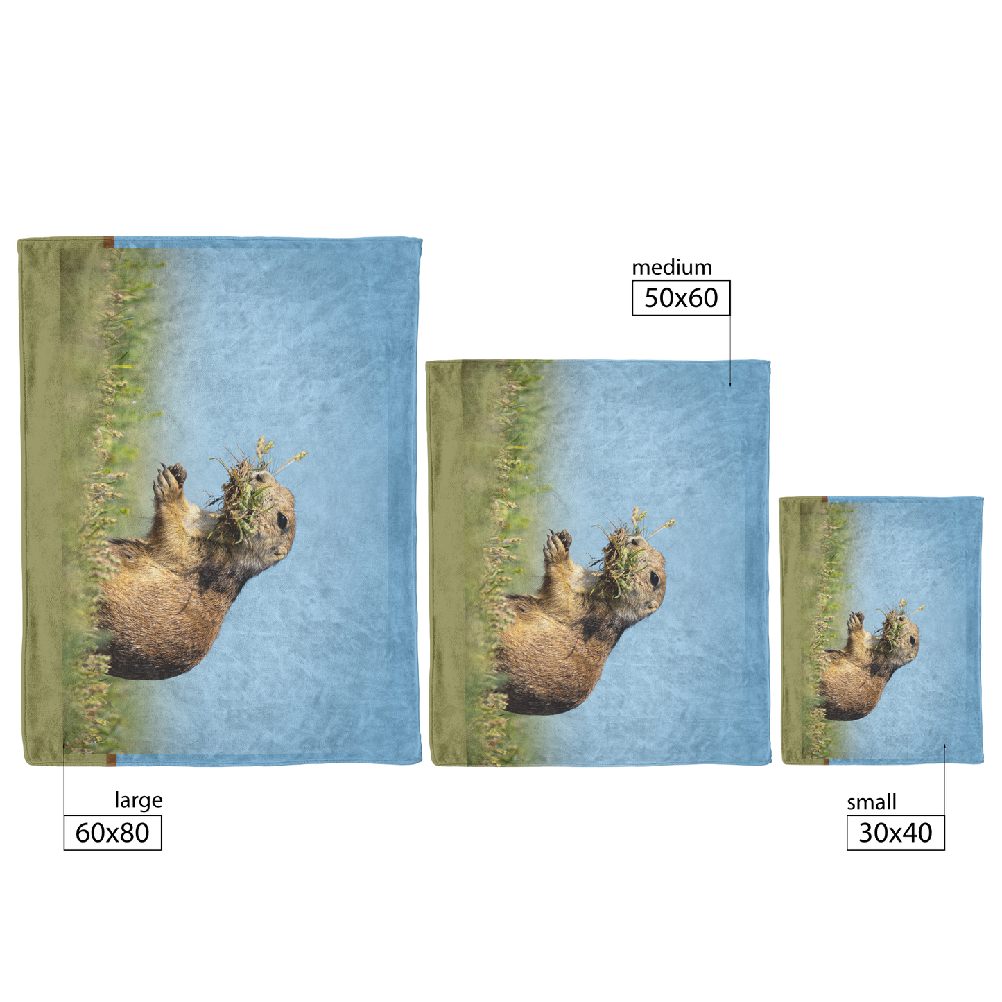Pdog_Blanket_V_Blanket_Size_Options_Mockup.png