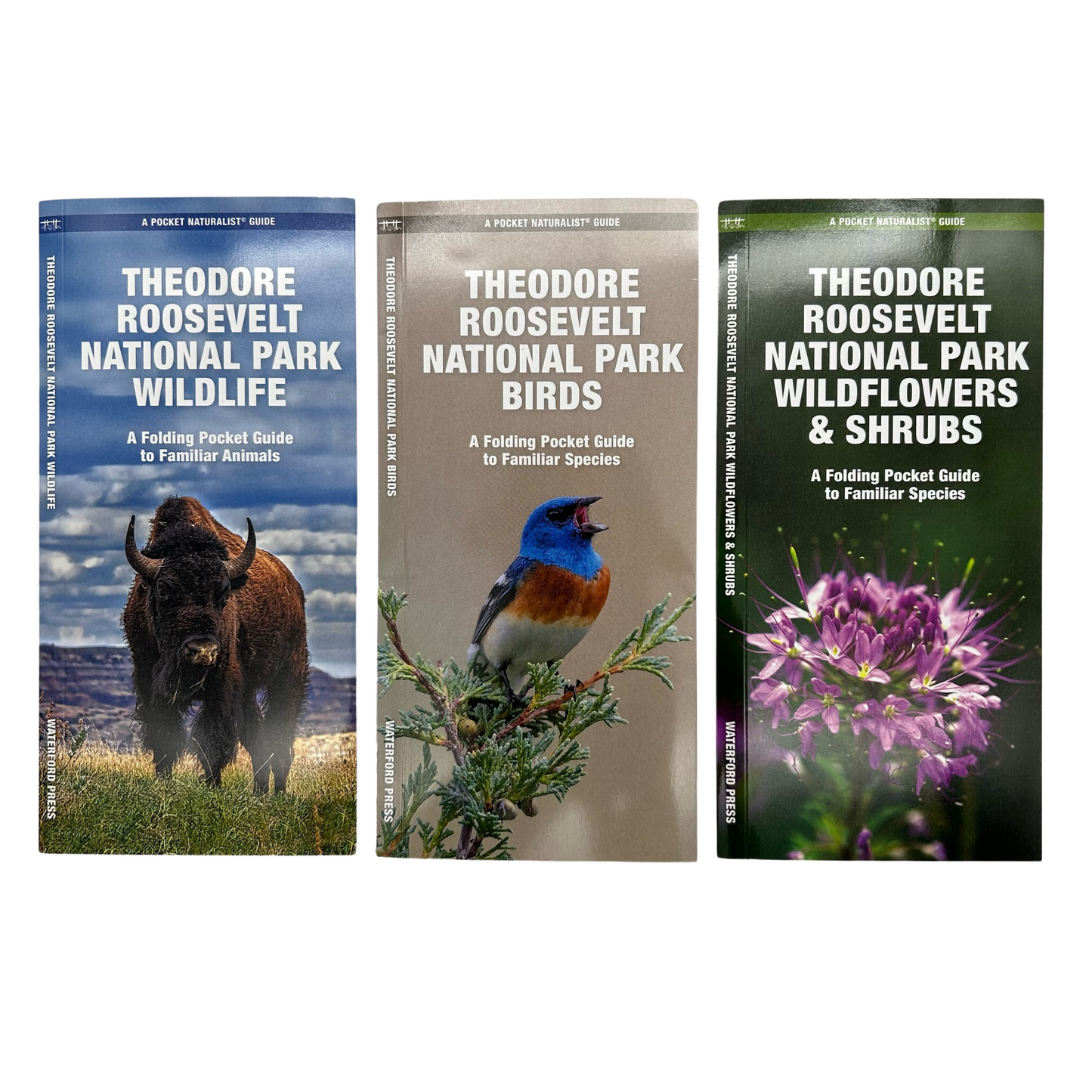 Pocket Naturalist Guides