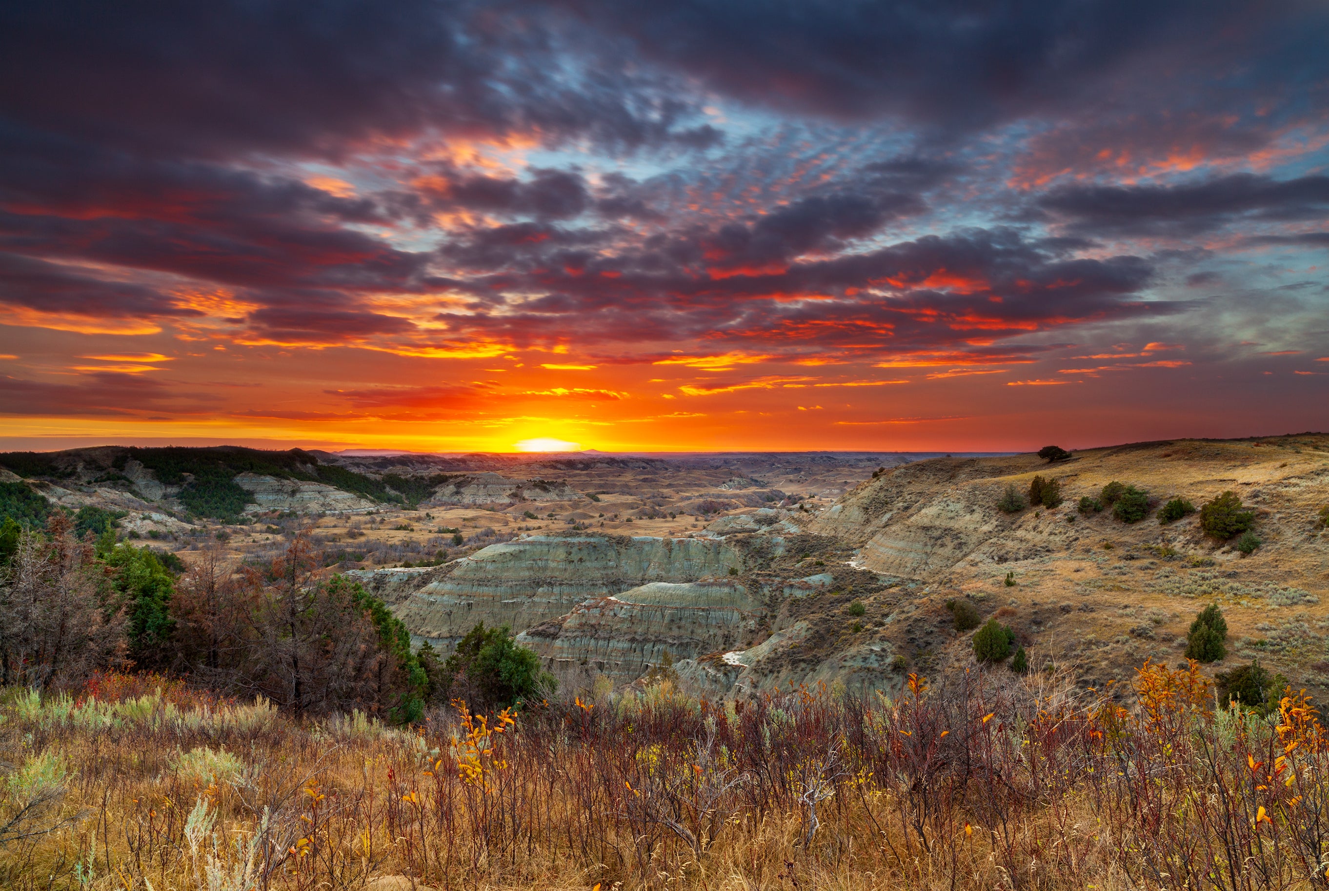 Red Sunset Background