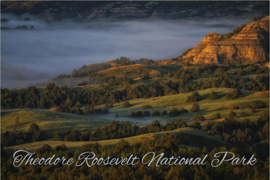 Badlands Fog Postcard