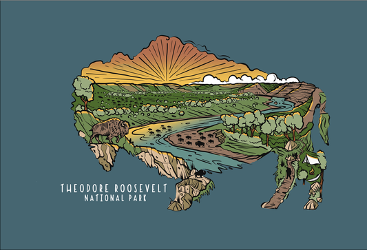 Color Bison Sketch T-shirt