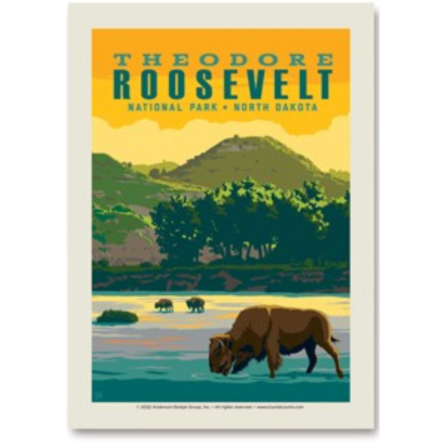 TRNP Bison River Postcard