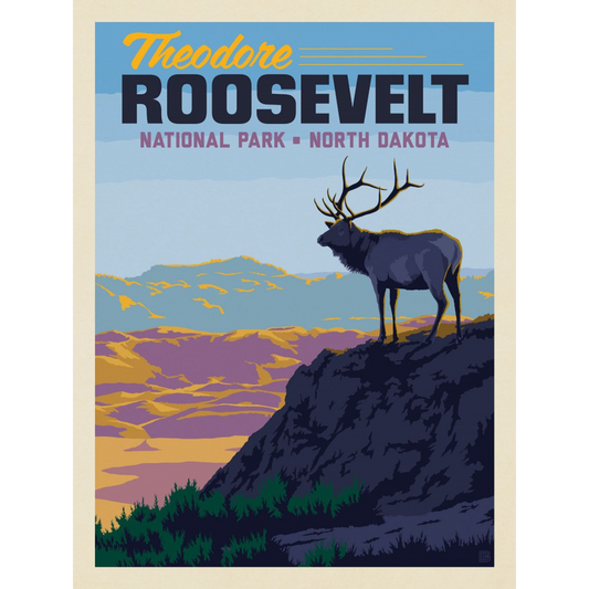 TRNP Elk Postcard