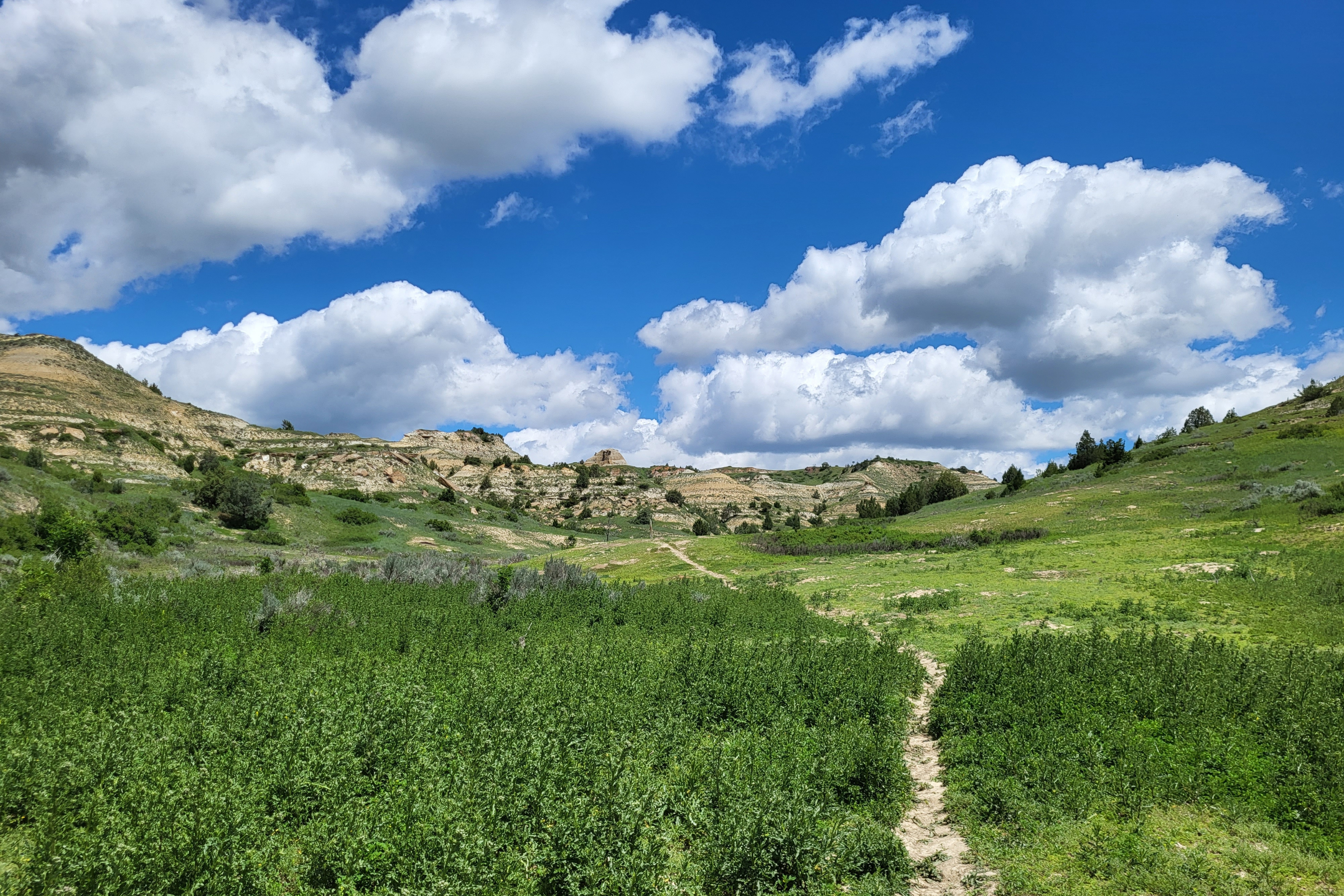 Trail Background