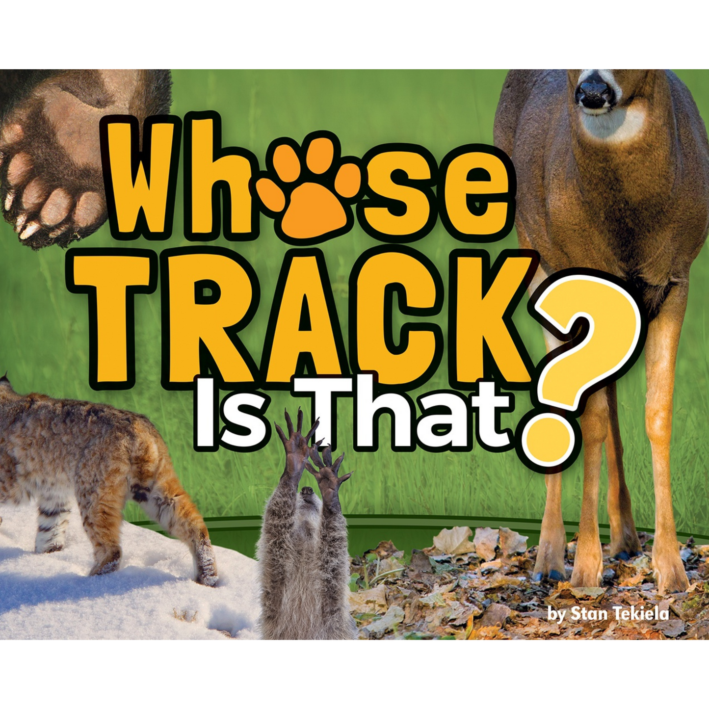 Whose Track is That?