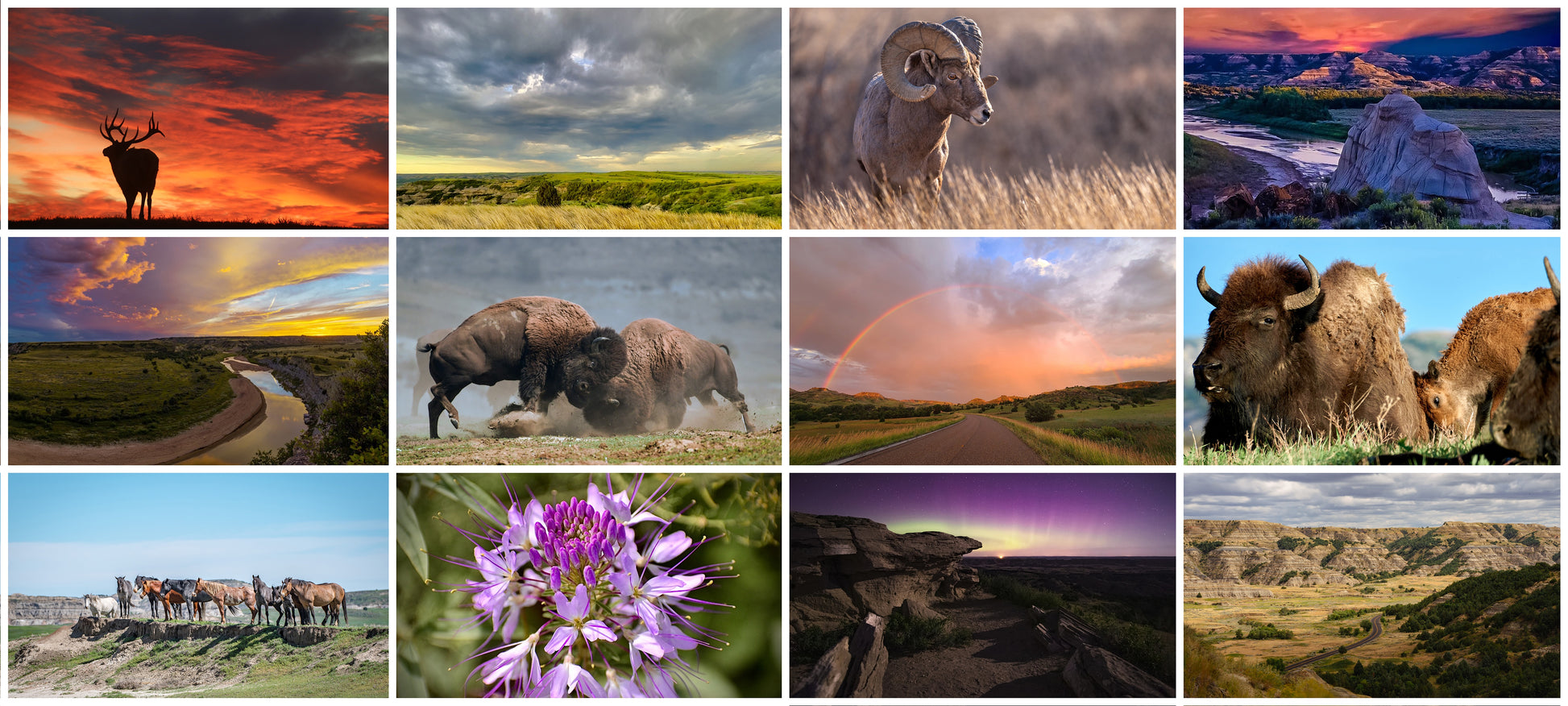 2022 Picture Yourself in TRNP Postcard Set