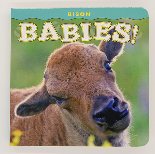 Bison Babies