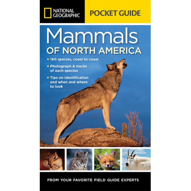 Wildlife Books