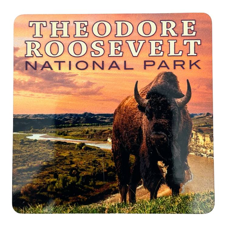 Theodore Roosevelt National Park