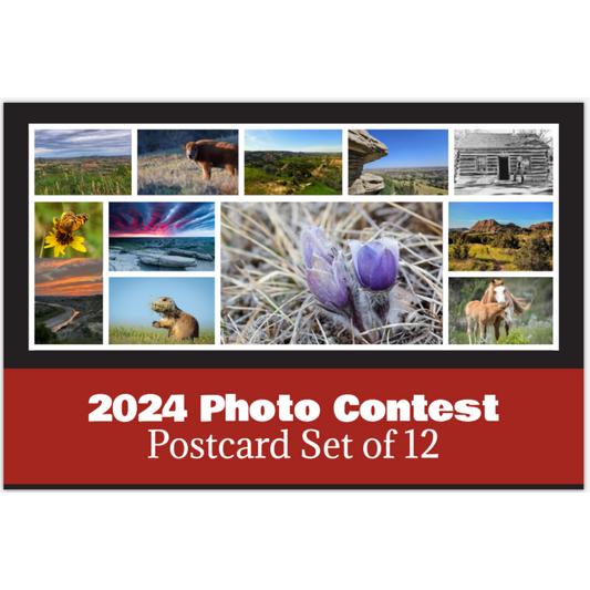 2024 Picture Yourself in TRNP Postcard Packet