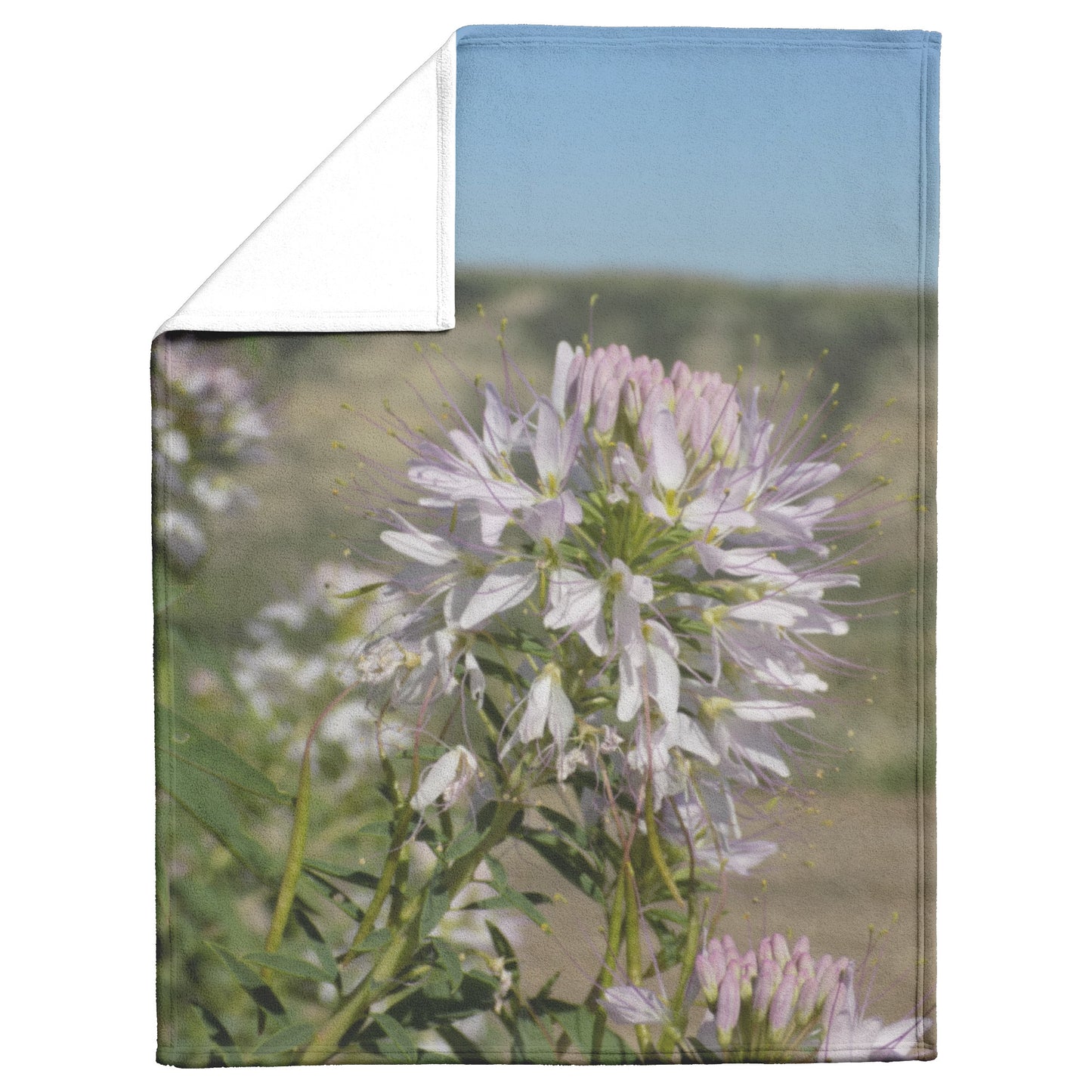 Bee Plants Blanket by Gram Miller Fold