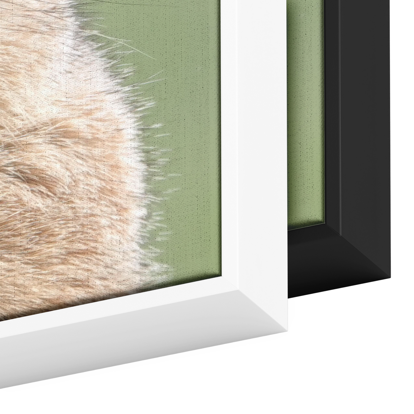 Birgit_Pruess_Canvas_with_Black_Frame_Framed_Canvas_H_Rectangle_Color_Options_Mockup.png