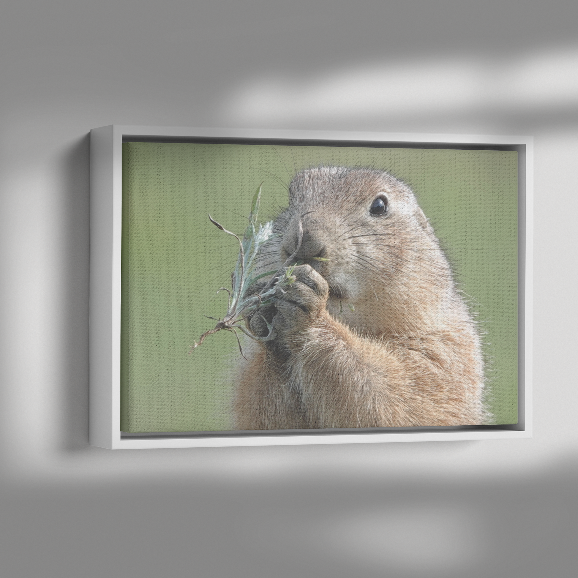 Birgit_Pruess_Canvas_with_Black_Frame_Framed_Canvas_H_Rectangle_Dramatic_Shadow_Mockup.png
