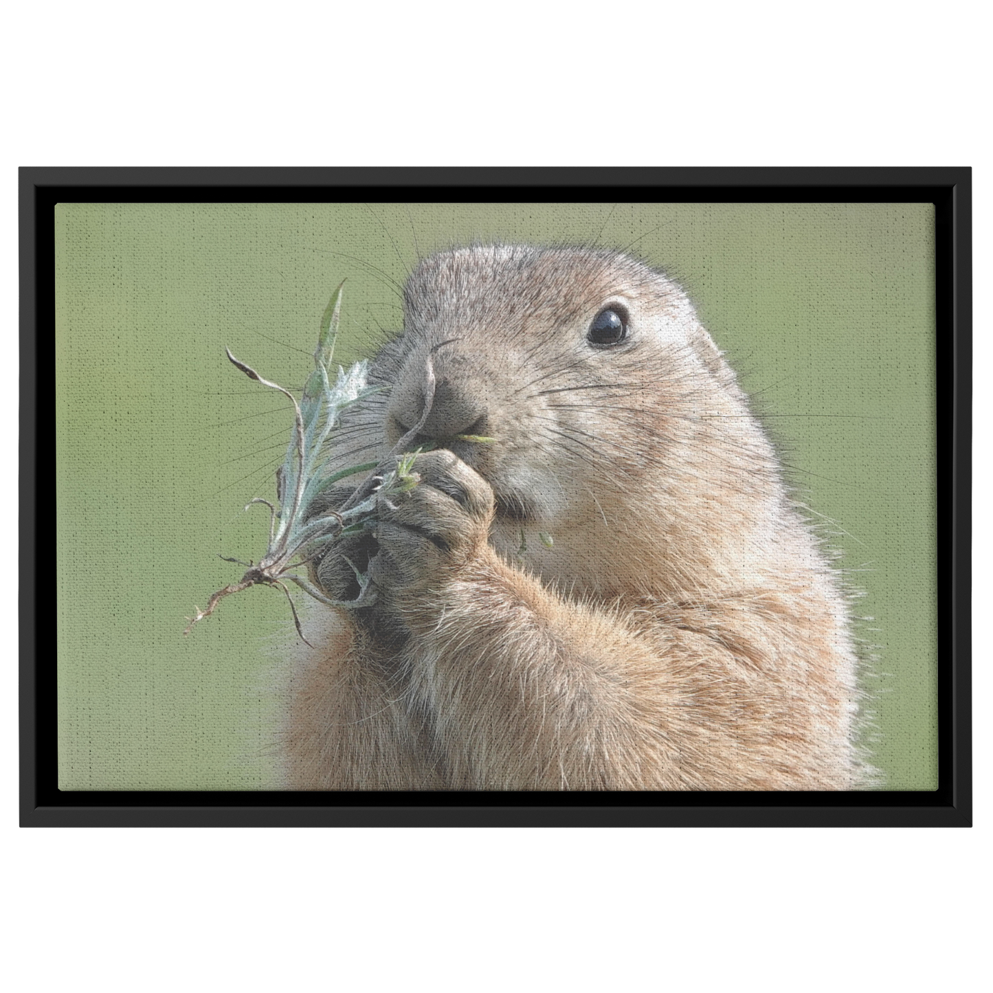 Birgit_Pruess_Canvas_with_Black_Frame_Framed_Canvas_H_Rectangle_Main_Mockup.png