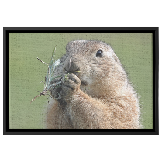 Birgit_Pruess_Canvas_with_Black_Frame_Framed_Canvas_H_Rectangle_Main_Mockup.png