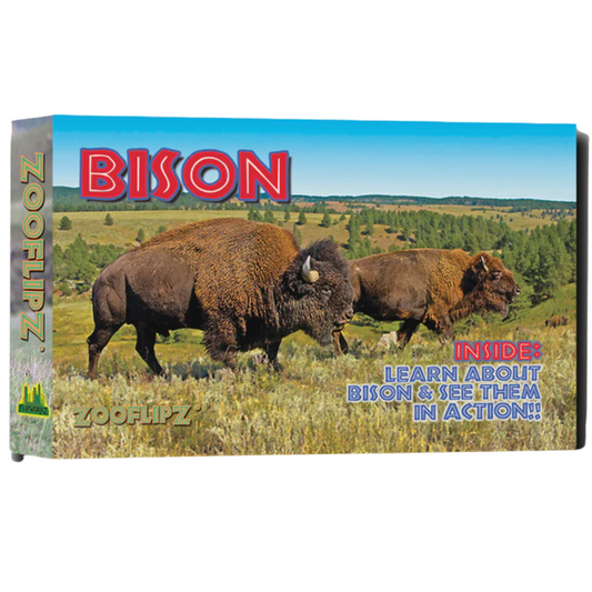 Bison Flipbook