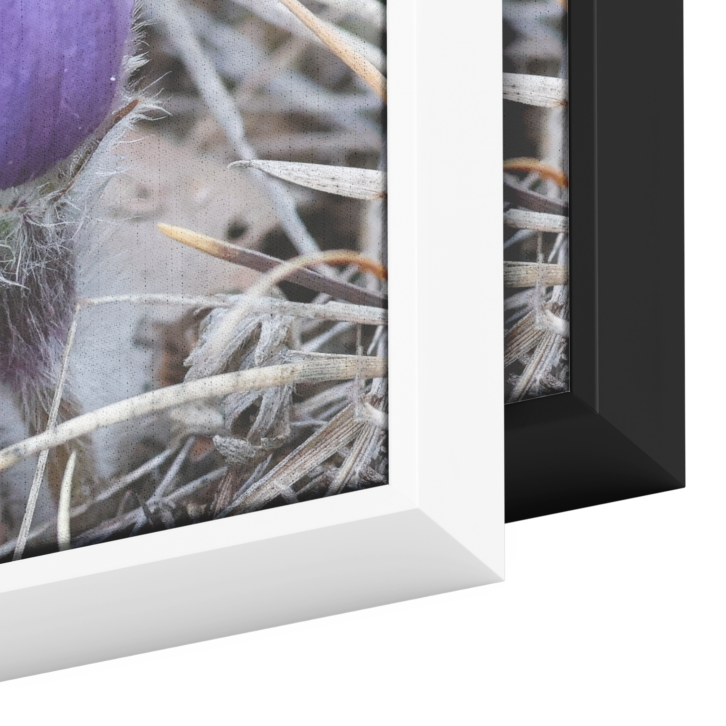 Carol_Priestly_Canvas_Print_with_Black_F_Framed_Canvas_H_Rectangle_Color_Options_Mockup.png
