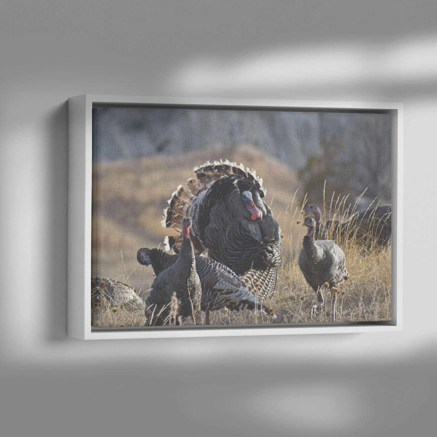 Clover_Schultz-Tiedeken_Canvas_Print_wit_Framed_Canvas_H_Rectangle_Dramatic_Shad_Mockup.png