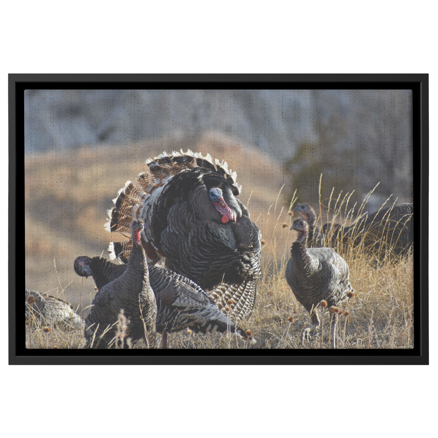 Clover_Schultz-Tiedeken_Canvas_Print_wit_Framed_Canvas_H_Rectangle_Main_Mockup.png