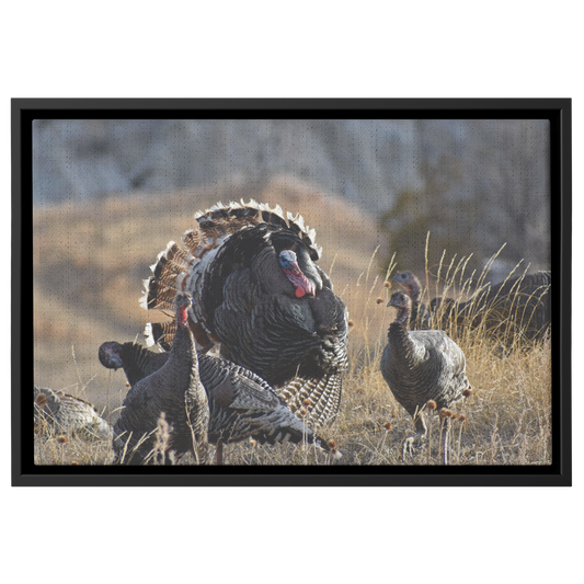 Clover_Schultz-Tiedeken_Canvas_Print_wit_Framed_Canvas_H_Rectangle_Main_Mockup.png