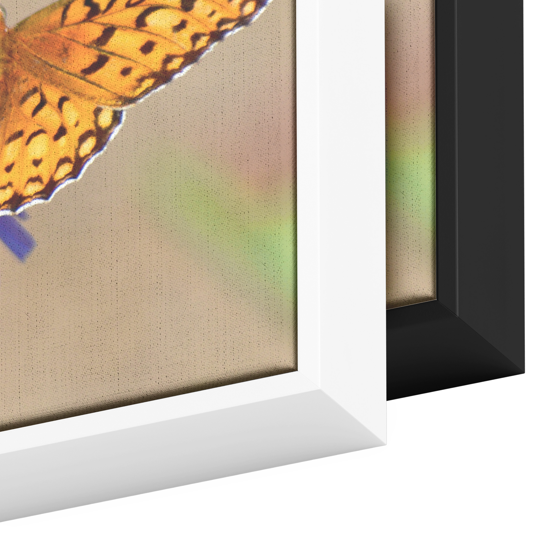 Cody_Egle_Canvas_Print_with_Black_Frame_Framed_Canvas_H_Rectangle_Color_Options_Mockup.png