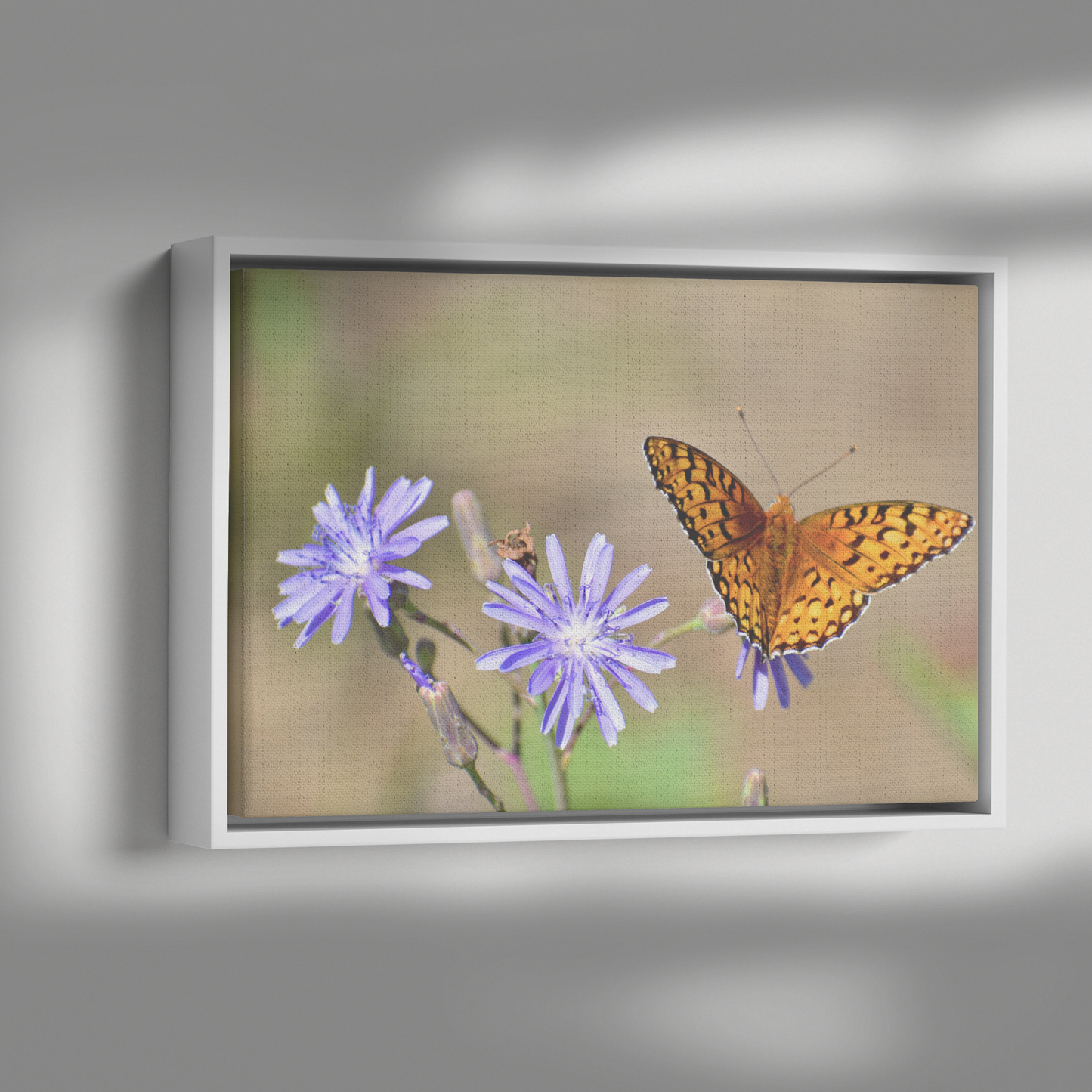 Cody_Egle_Canvas_Print_with_Black_Frame_Framed_Canvas_H_Rectangle_Dramatic_Shado_Mockup.png