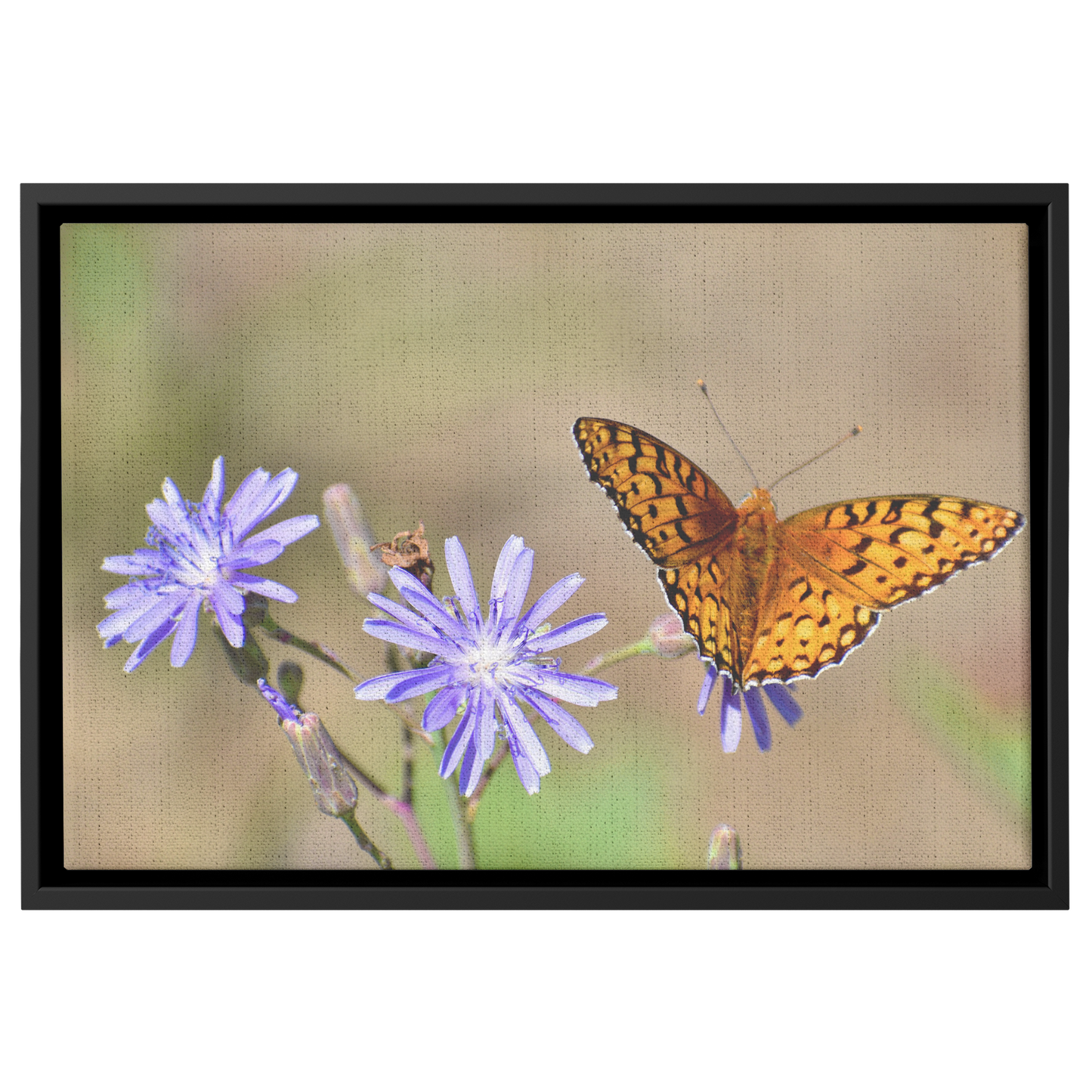 Cody_Egle_Canvas_Print_with_Black_Frame_Framed_Canvas_H_Rectangle_Main_Mockup.png
