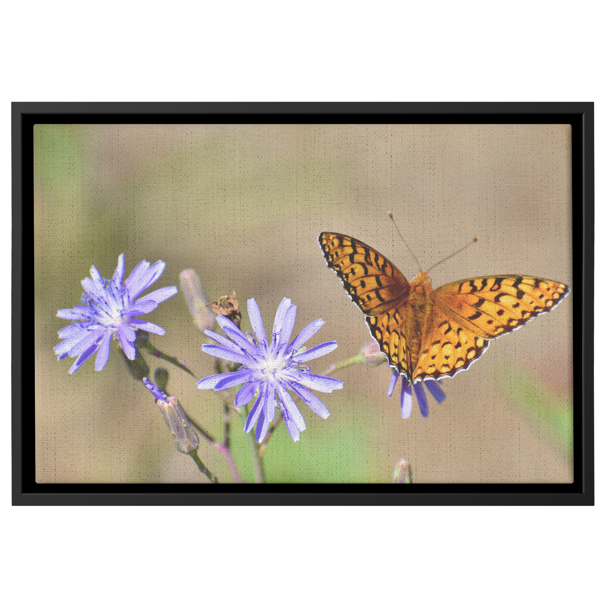 Cody_Egle_Canvas_Print_with_Black_Frame_Framed_Canvas_H_Rectangle_Main_Mockup.png