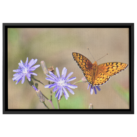 Cody_Egle_Canvas_Print_with_Black_Frame_Framed_Canvas_H_Rectangle_Main_Mockup.png