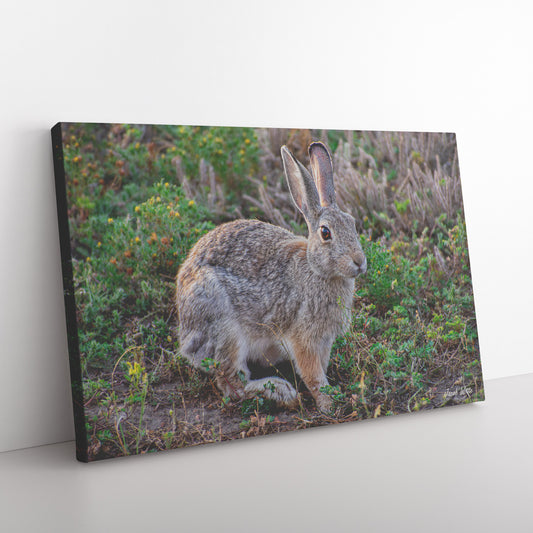 Cottontail Canvas by Jacob Witte Floor