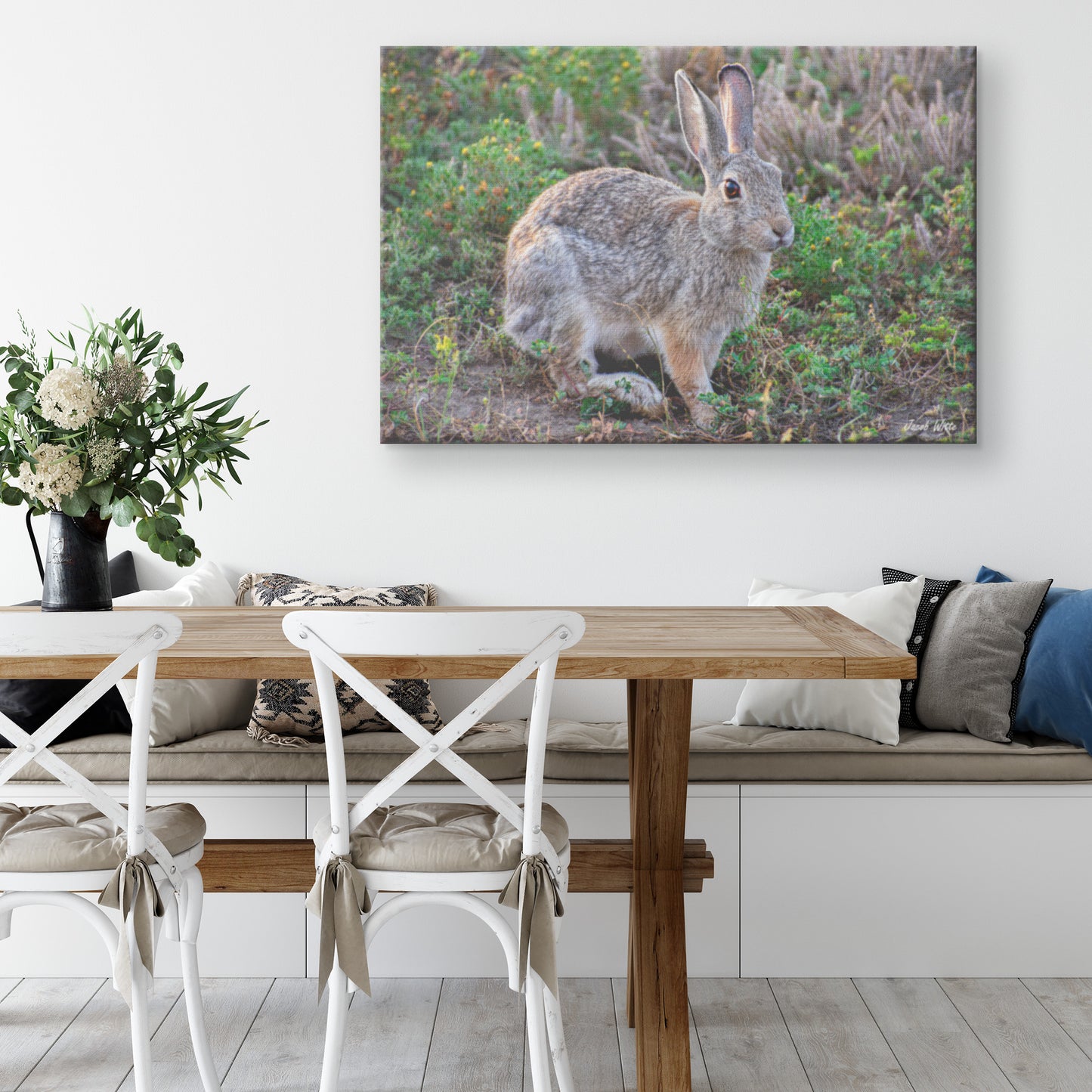 Cottontail Canvas by Jacob Witte Wall