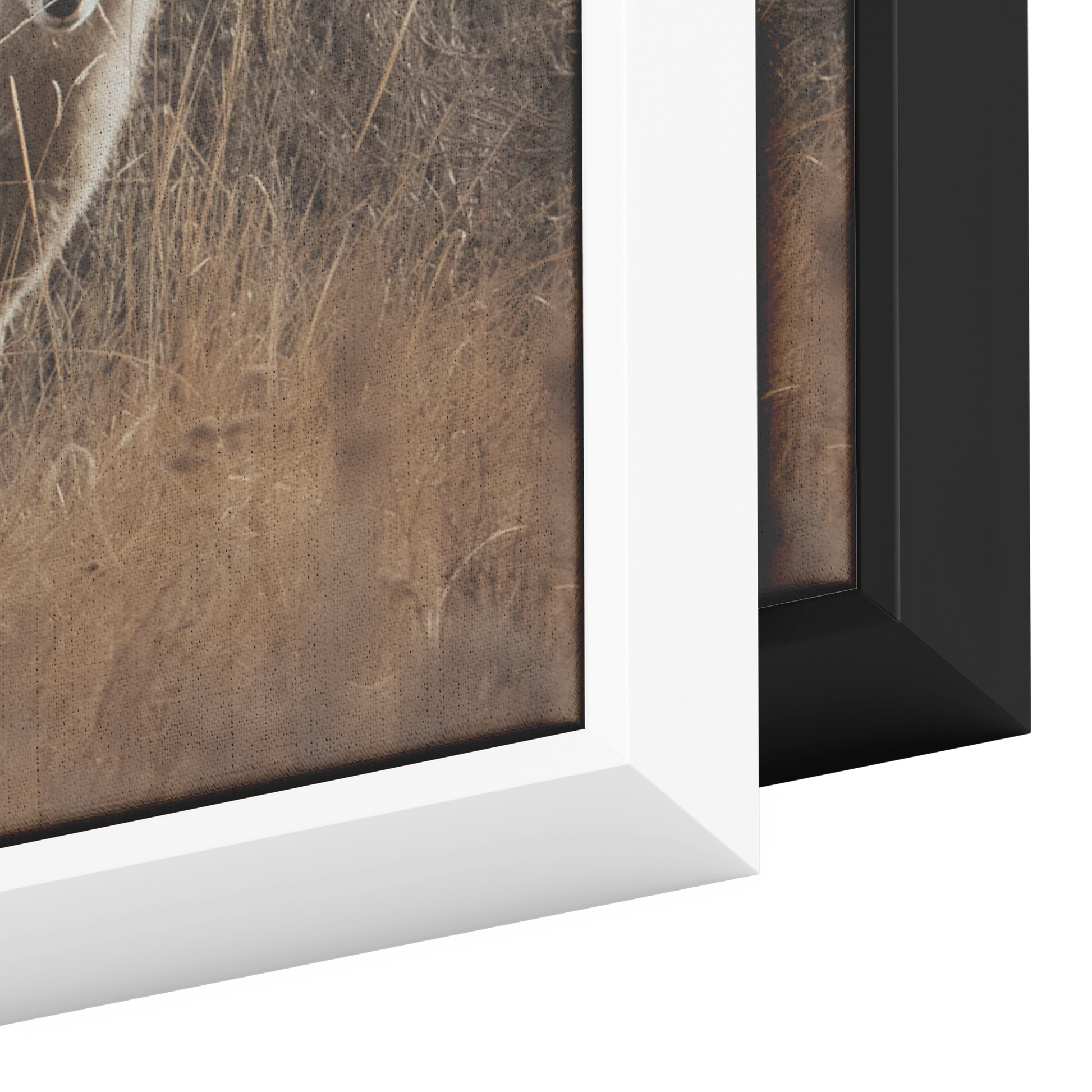 Maggie_Taylor_Canvas_Print_with_Black_Fr_Framed_Canvas_V_Rectangle_Color_Options_Mockup.png