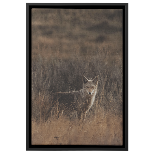 Maggie_Taylor_Canvas_Print_with_Black_Fr_Framed_Canvas_V_Rectangle_Main_Mockup.png