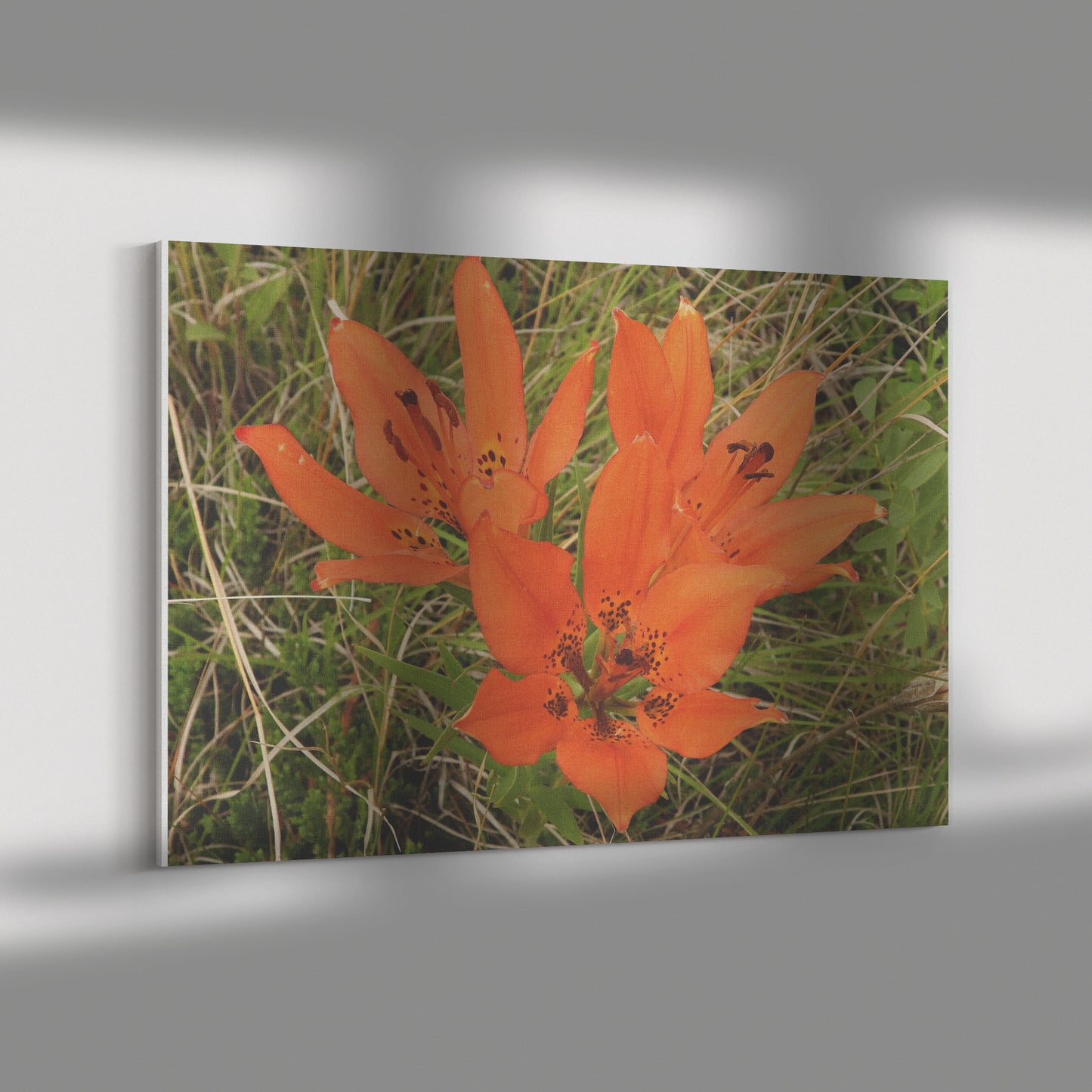 Orange Flowers Canvas by Bryon Knutson Shadow