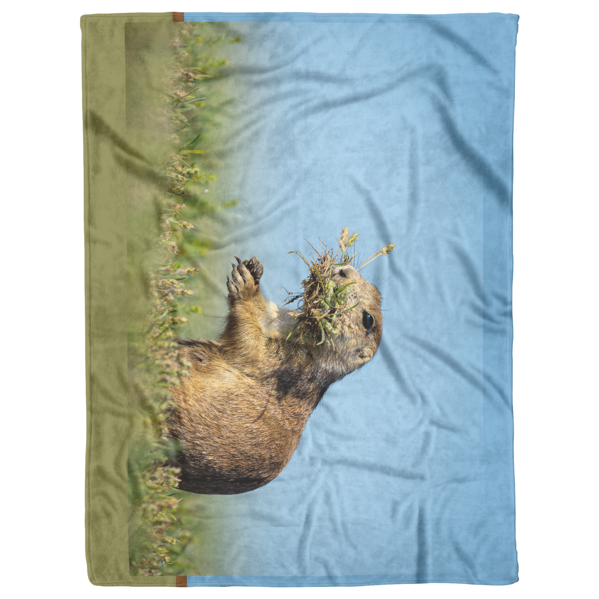 Pdog_Blanket_V_Blanket_AS_Flat_Mockup.png