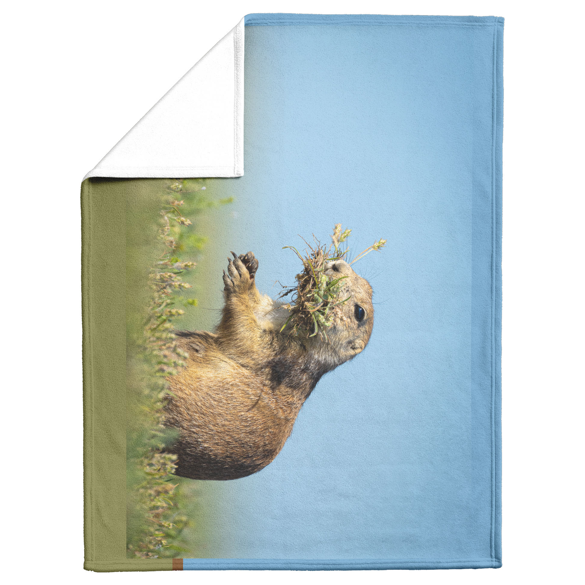 Pdog_Blanket_V_Blanket_Fold_Mockup.png