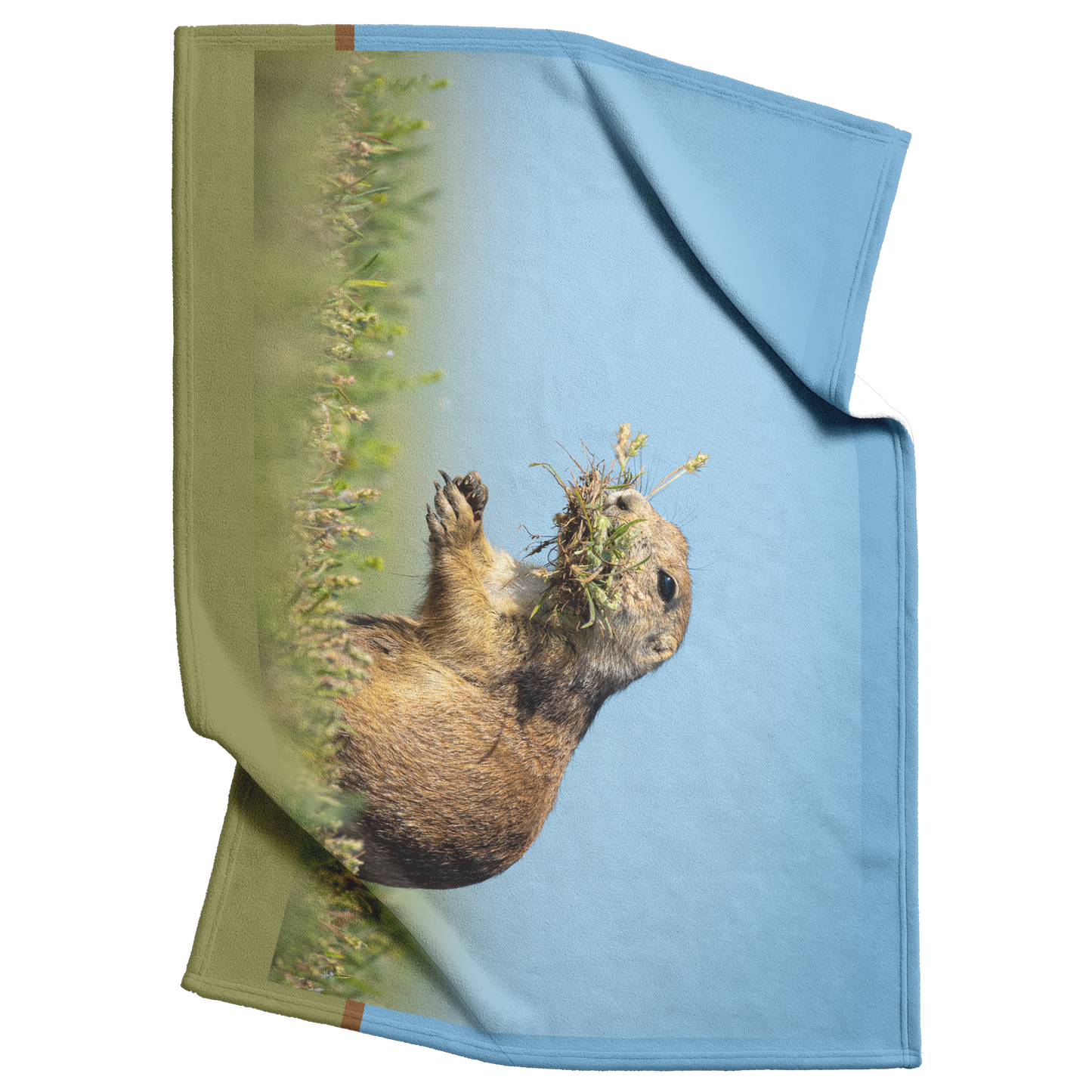Pdog_Blanket_V_Blanket_Top_Bottom_Folds_Mockup.png