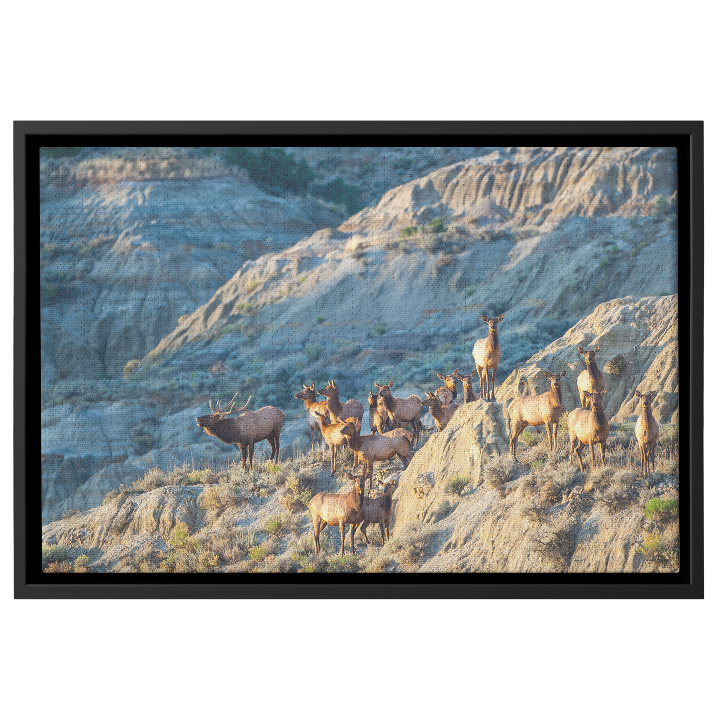 Rolan_Honeyman_Canvas_Print_with_Black_F_Framed_Canvas_H_Rectangle_Main_Mockup.png