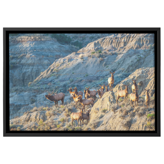 Rolan_Honeyman_Canvas_Print_with_Black_F_Framed_Canvas_H_Rectangle_Main_Mockup.png
