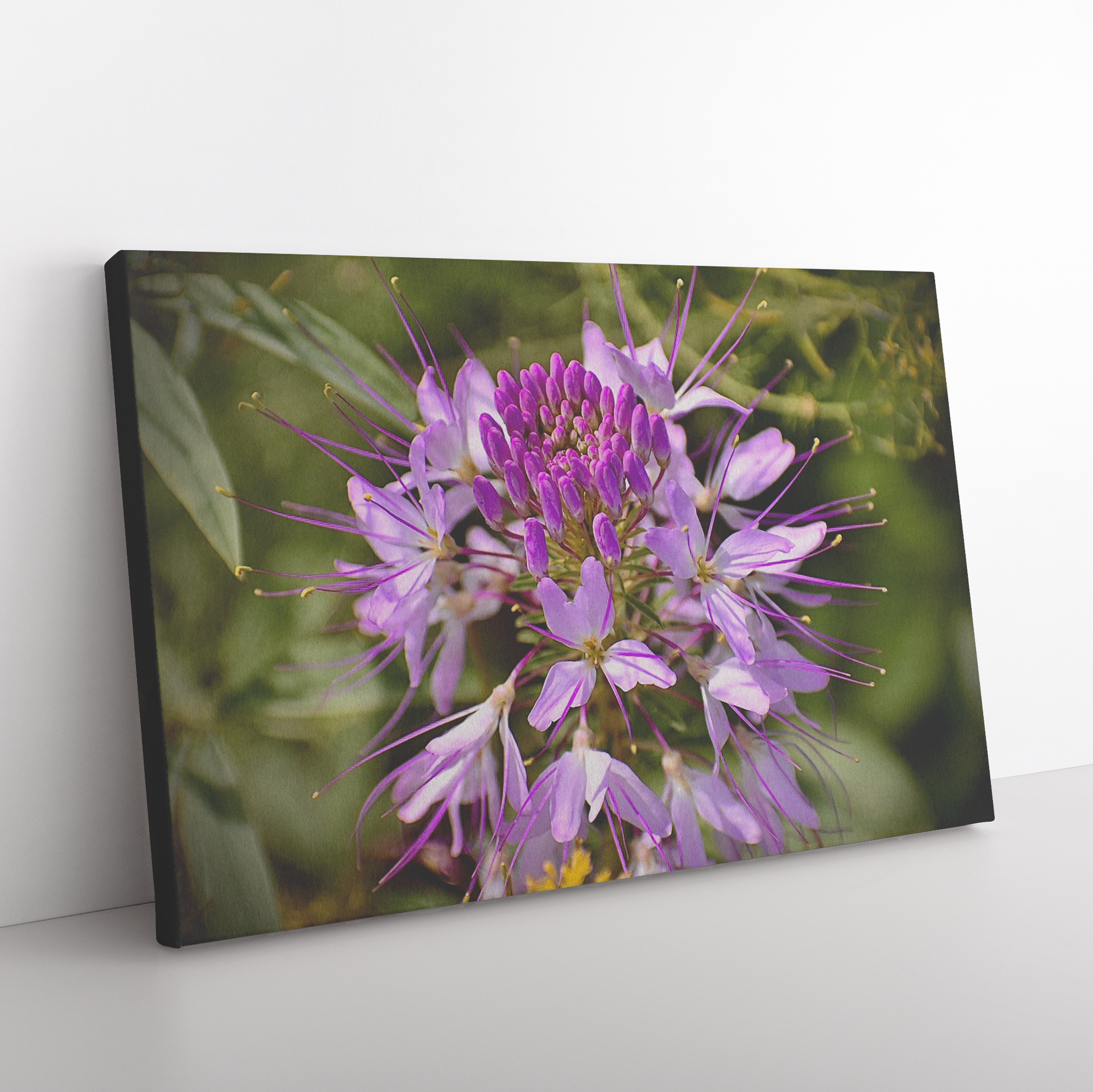 Spring_is_in_the_Air_Canvas_by_Alexandra_H_Rectangle_Angle_Floor_Mockup.png
