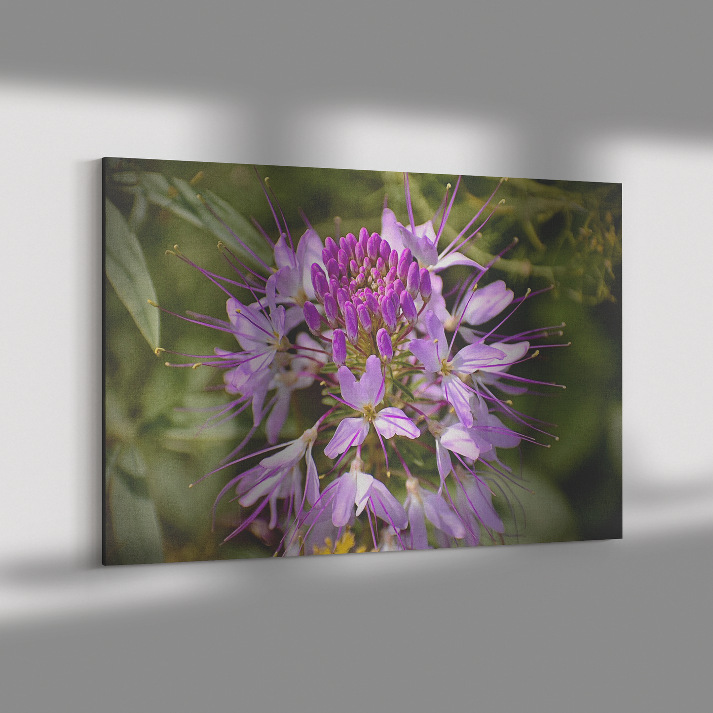 Spring_is_in_the_Air_Canvas_by_Alexandra_H_Rectangle_Dramatic_Shadow_Mockup.png